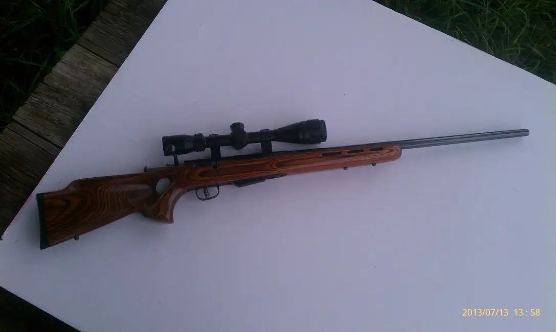 204 Ruger